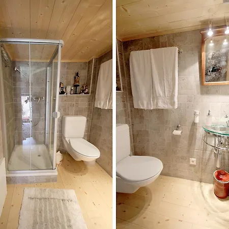 Le Chalet D'alexandrine * Vissoie